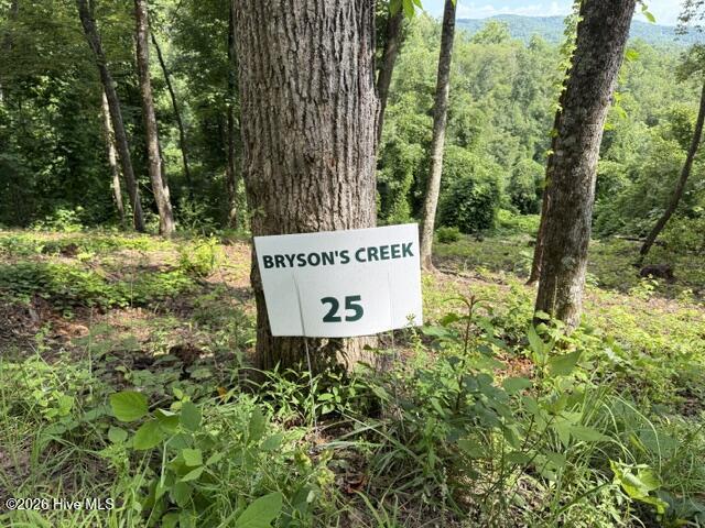 Lot 25 25 Bryson Creek Drive Property Photo 2