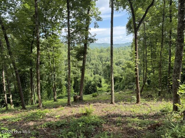 Lot 25 25 Bryson Creek Drive Property Photo 3