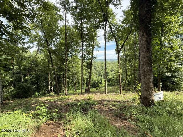 Lot 25 25 Bryson Creek Drive Property Photo 4