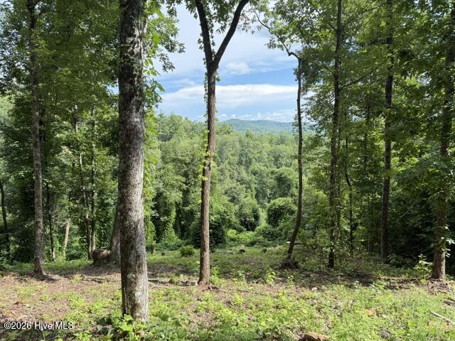 Lot 25 25 Bryson Creek Drive Property Photo 5