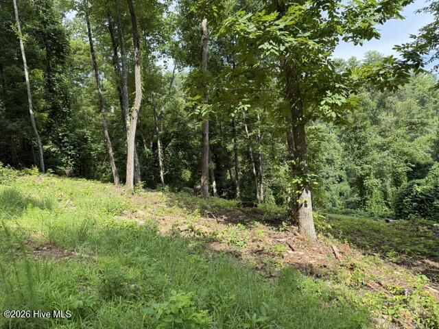 Lot 25 25 Bryson Creek Drive Property Photo 6