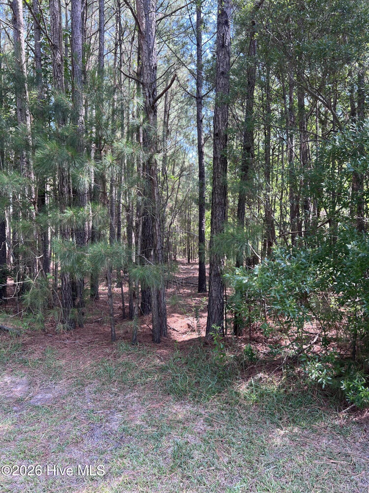 42 Windy Point Property Photo 5