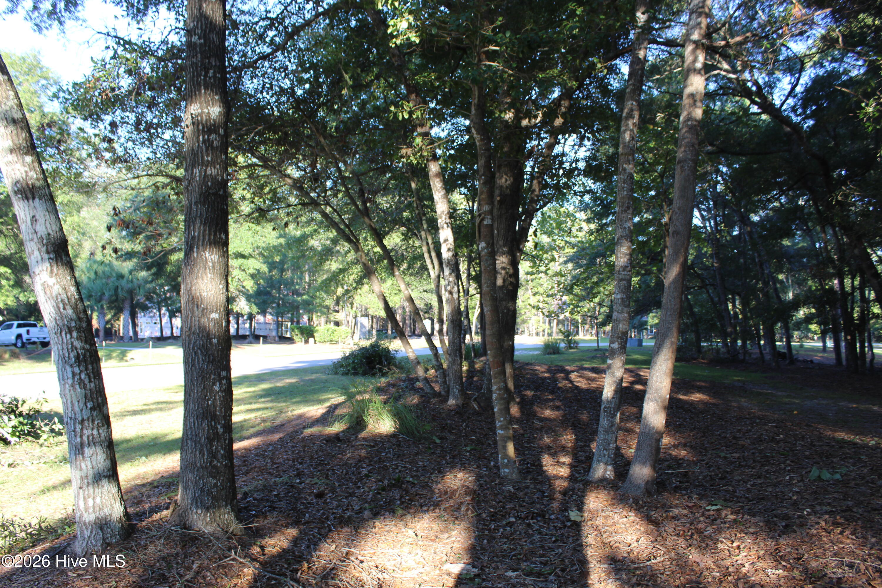 3370 Oyster Bed Cove Sw Property Photo 6