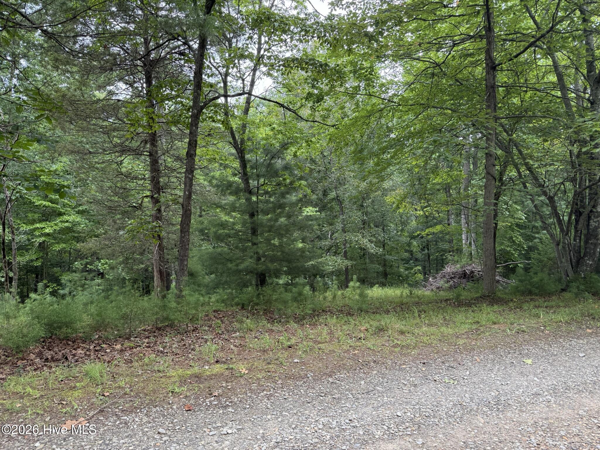 172 Wild Azalea Lane Property Photo 1