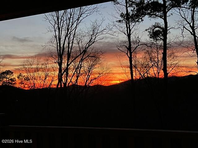 380 Bear Trail Property Photo 64