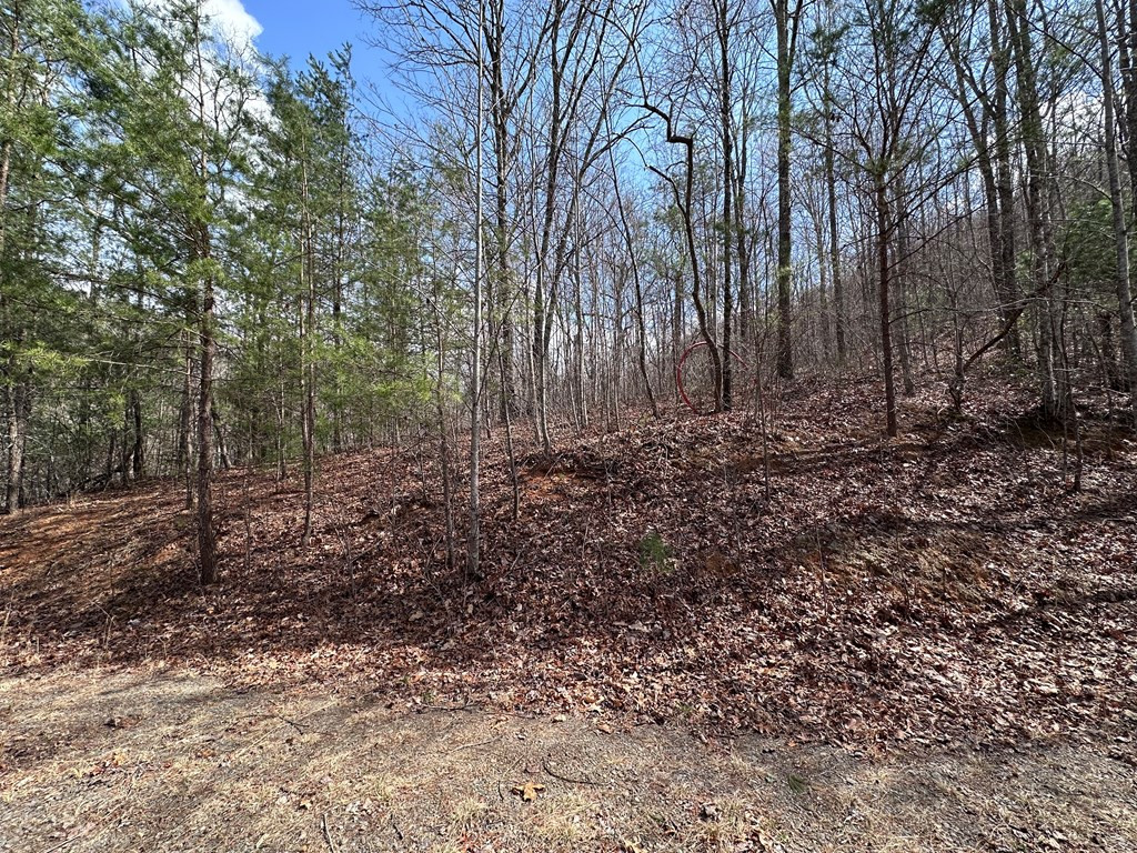 Tbd Pack Mountain Road Property Photo 1
