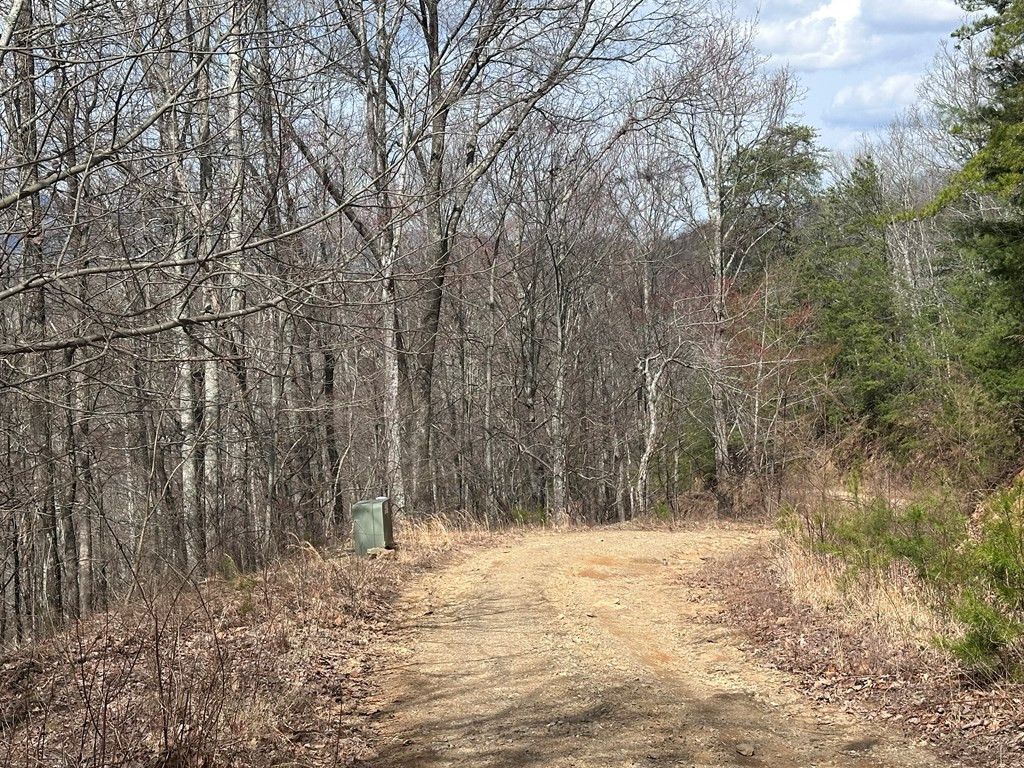 Tbd Pack Mountain Road Property Photo 2