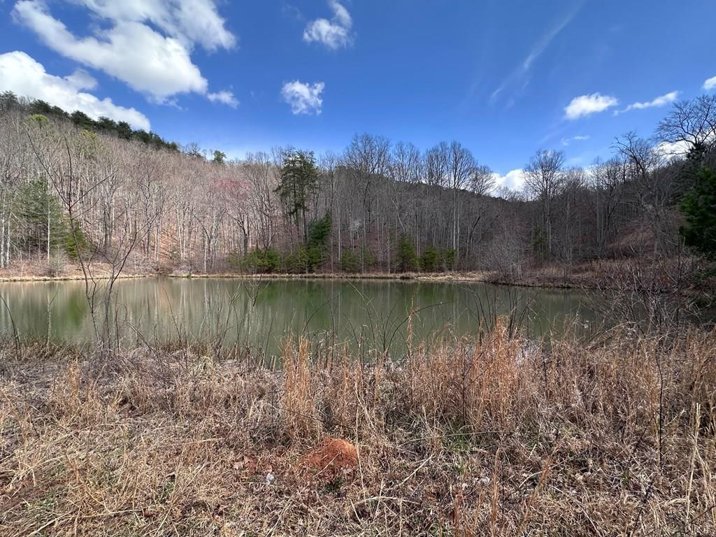 Tbd Pack Mountain Road Property Photo 3