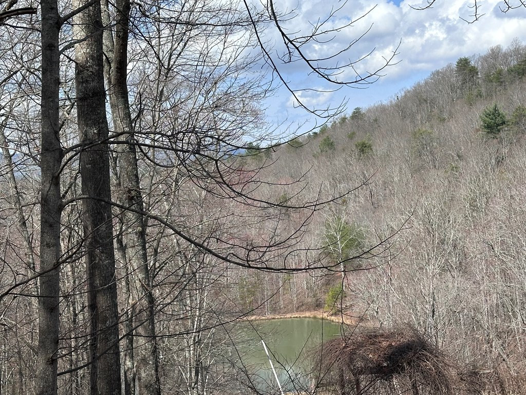 Tbd Pack Mountain Road Property Photo 4