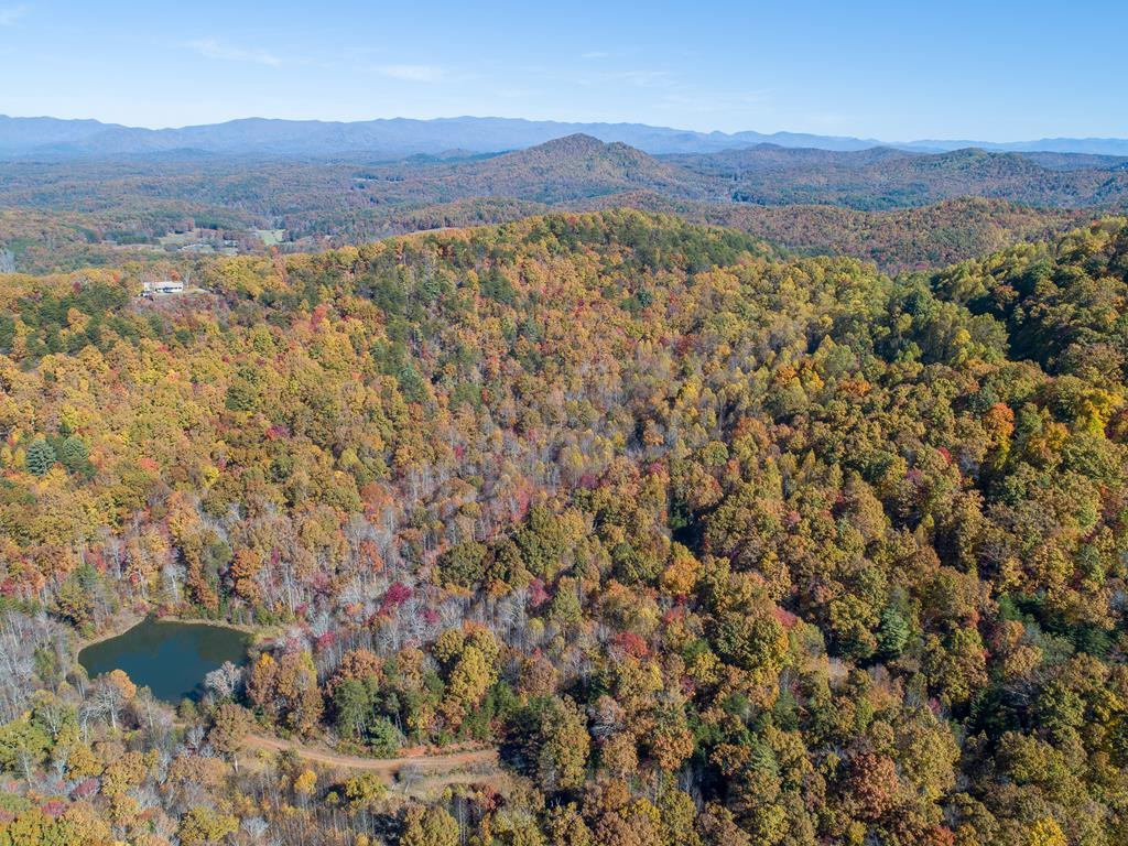 Tbd Pack Mountain Road Property Photo 7