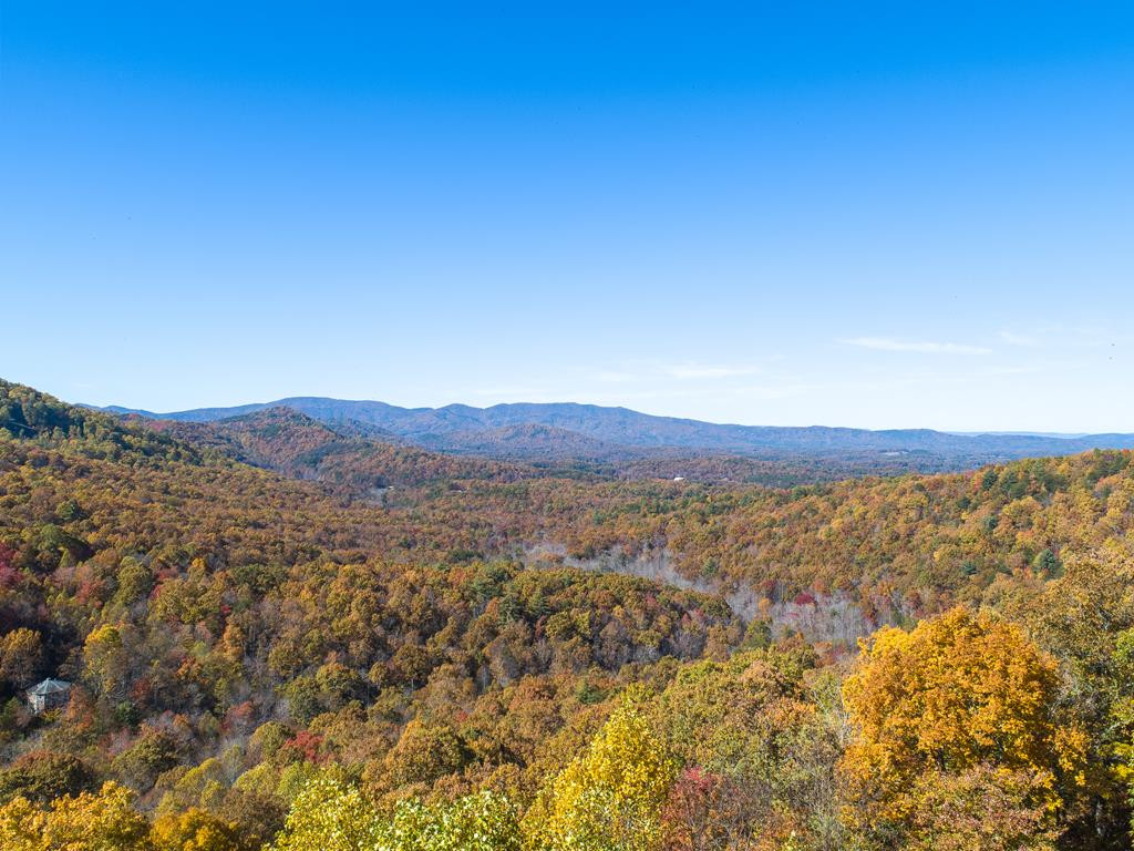 Tbd Pack Mountain Road Property Photo 10