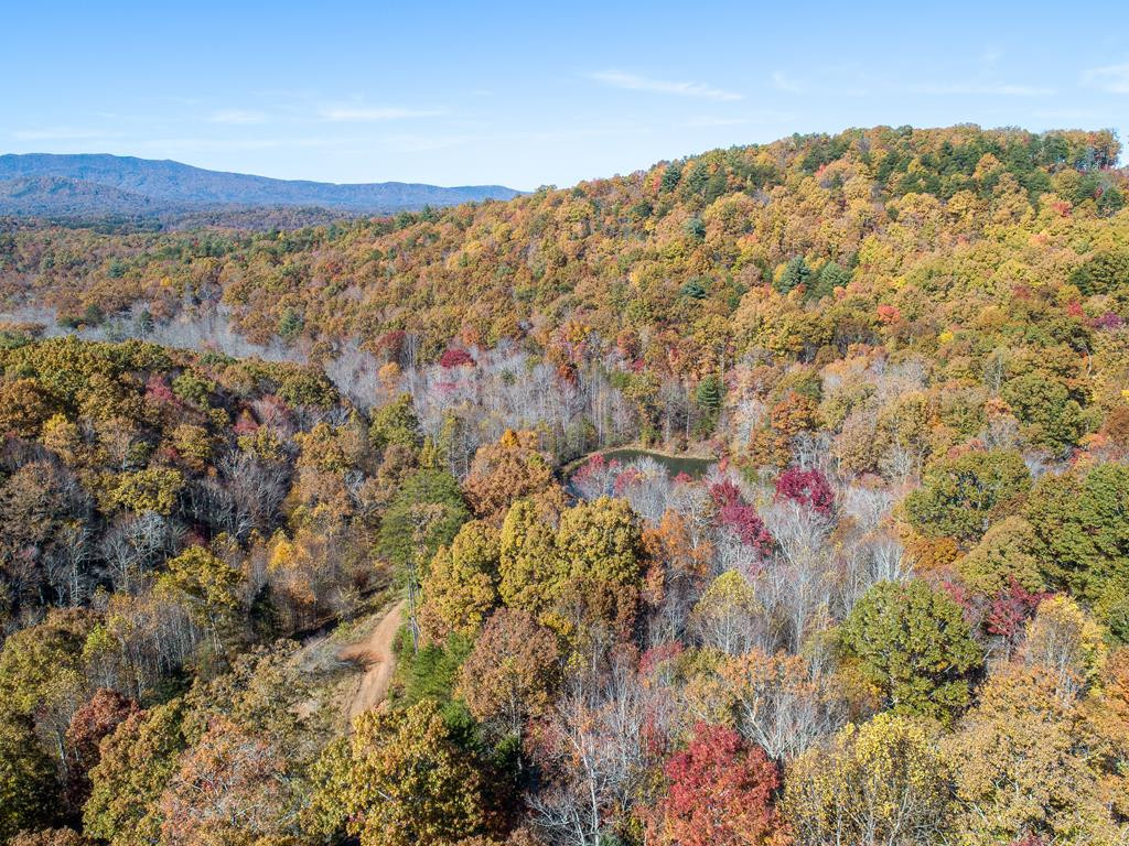 Tbd Pack Mountain Road Property Photo 12