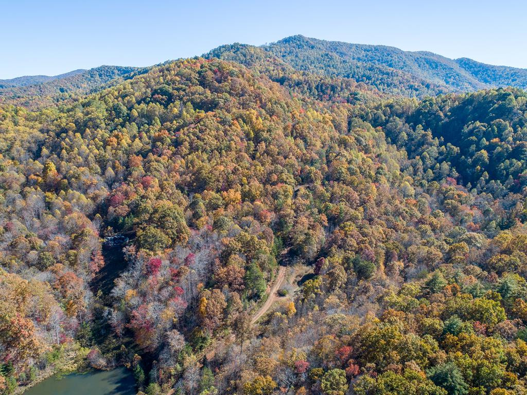 Tbd Pack Mountain Road Property Photo 13