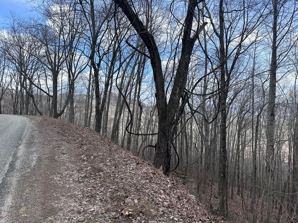 Tbd Pack Mountain Road Property Photo 14