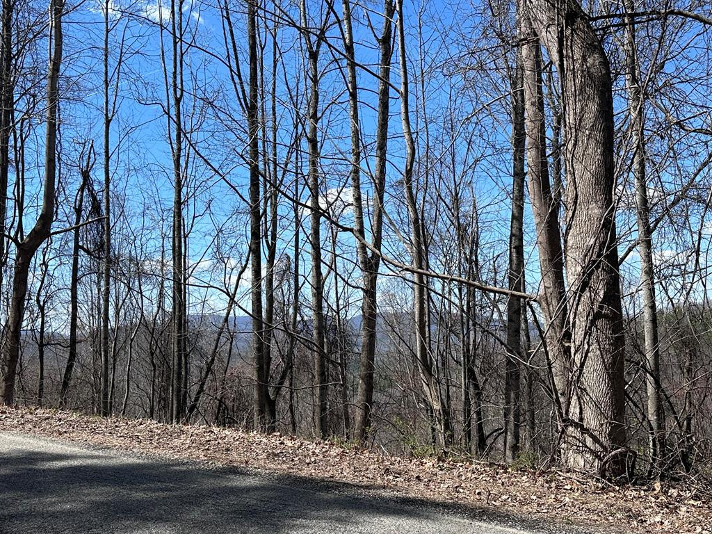 Tbd Pack Mountain Road Property Photo 15