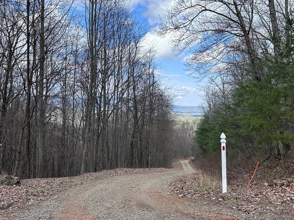 Tbd Pack Mountain Road Property Photo 16