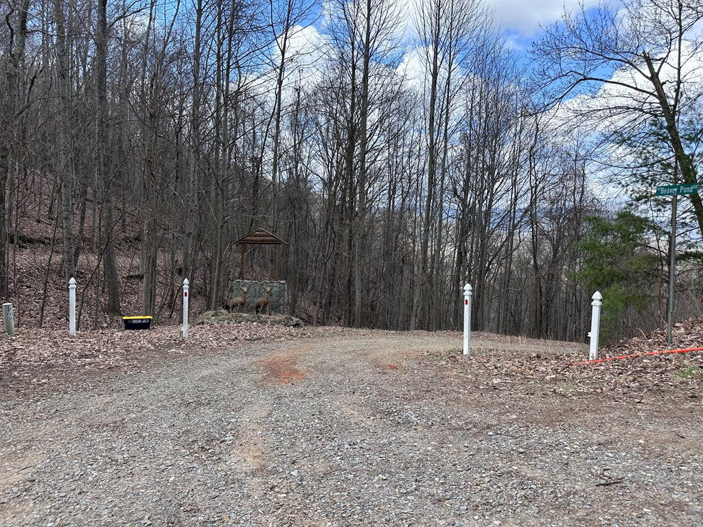 Tbd Pack Mountain Road Property Photo 17