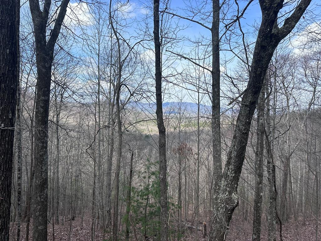 Tbd Pack Mountain Road Property Photo 18