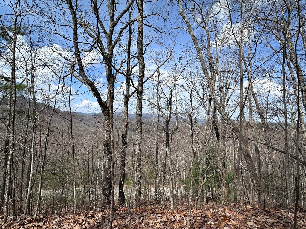 Tbd Pack Mountain Road Property Photo 19