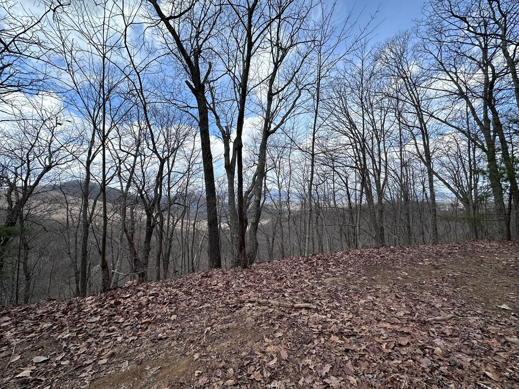 Tbd Pack Mountain Road Property Photo 20
