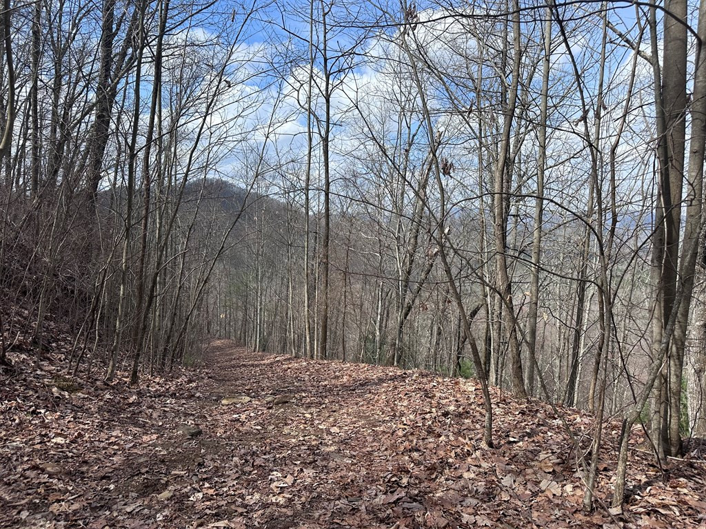 Tbd Pack Mountain Road Property Photo 21