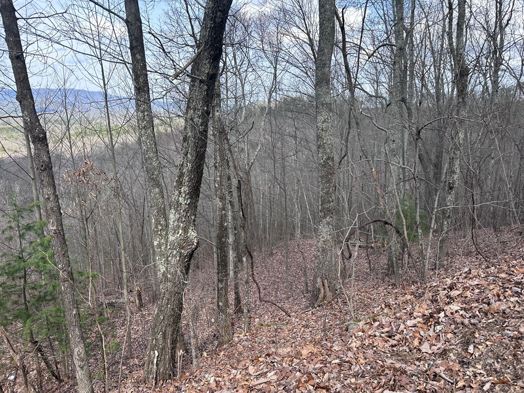 Tbd Pack Mountain Road Property Photo 22