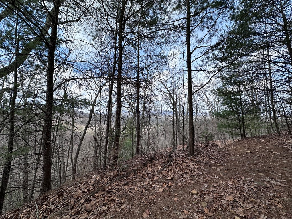 Tbd Pack Mountain Road Property Photo 23