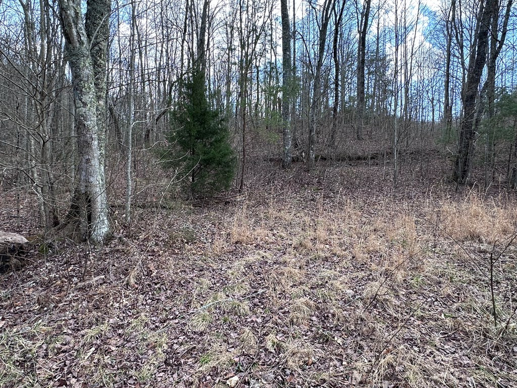 Tbd Pack Mountain Road Property Photo 24