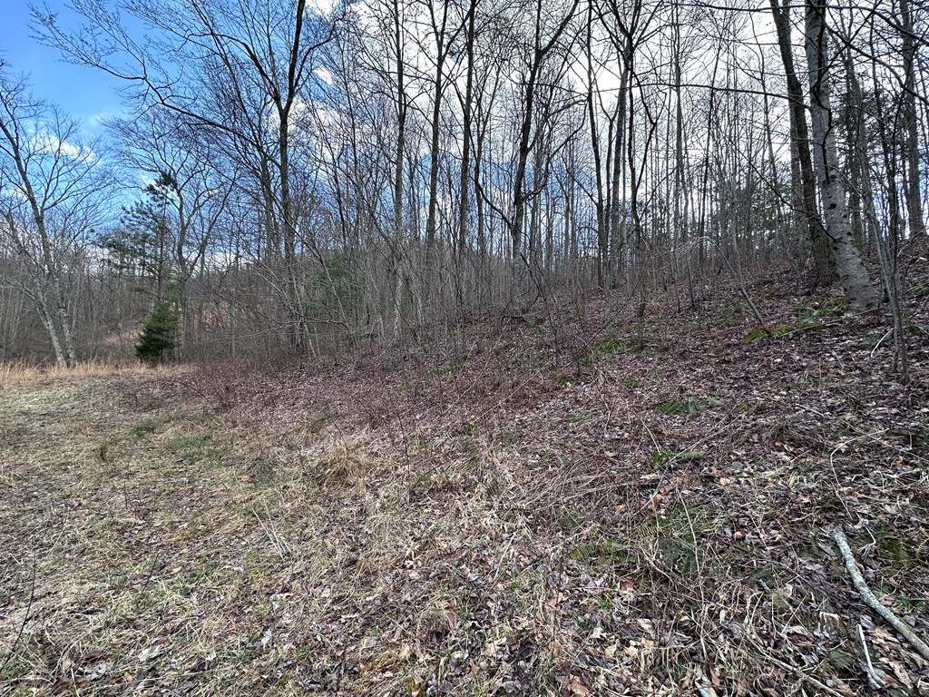 Tbd Pack Mountain Road Property Photo 25