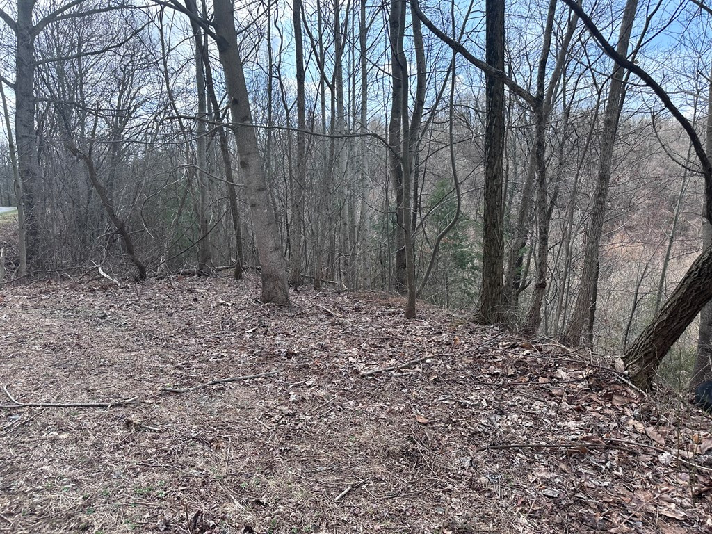 Tbd Pack Mountain Road Property Photo 26
