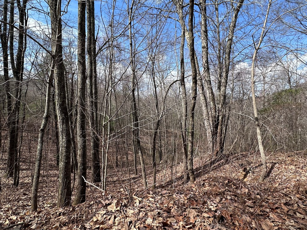Tbd Pack Mountain Road Property Photo 27