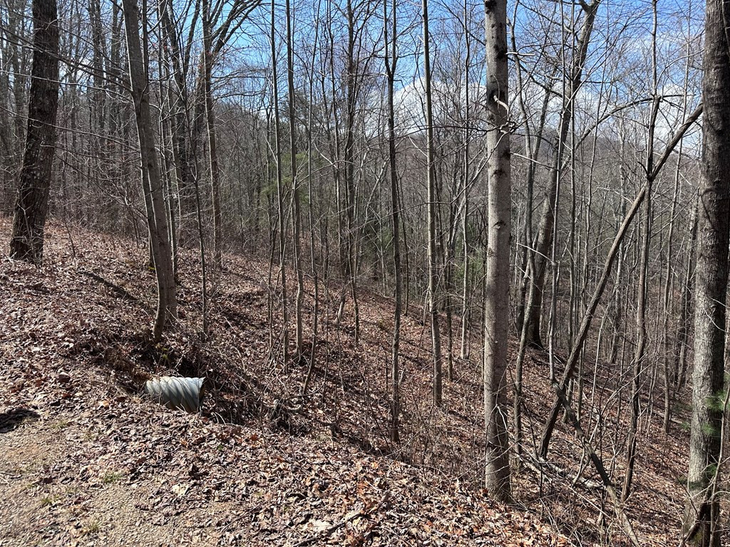 Tbd Pack Mountain Road Property Photo 28