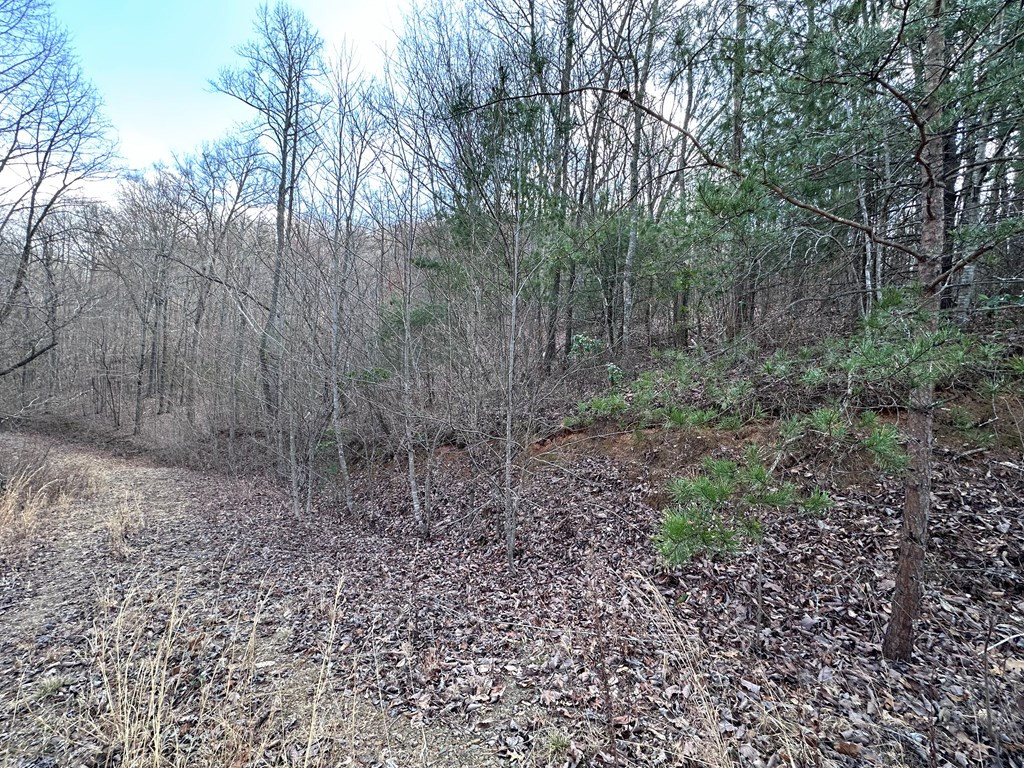 Tbd Pack Mountain Road Property Photo 29