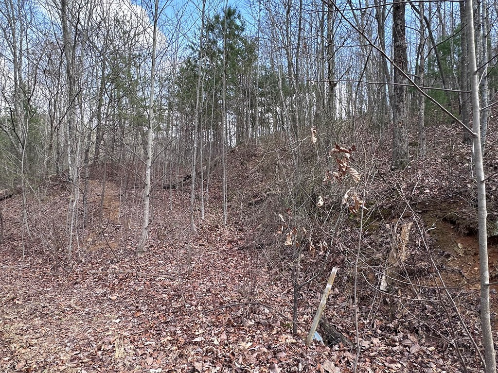 Tbd Pack Mountain Road Property Photo 30