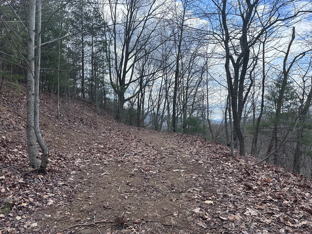 Tbd Pack Mountain Road Property Photo 31