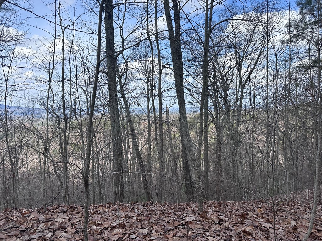 Tbd Pack Mountain Road Property Photo 33