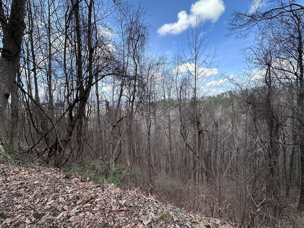 Tbd Pack Mountain Road Property Photo 34