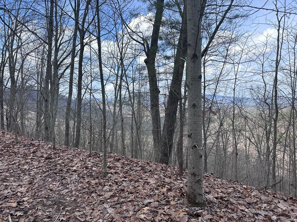 Tbd Pack Mountain Road Property Photo 35