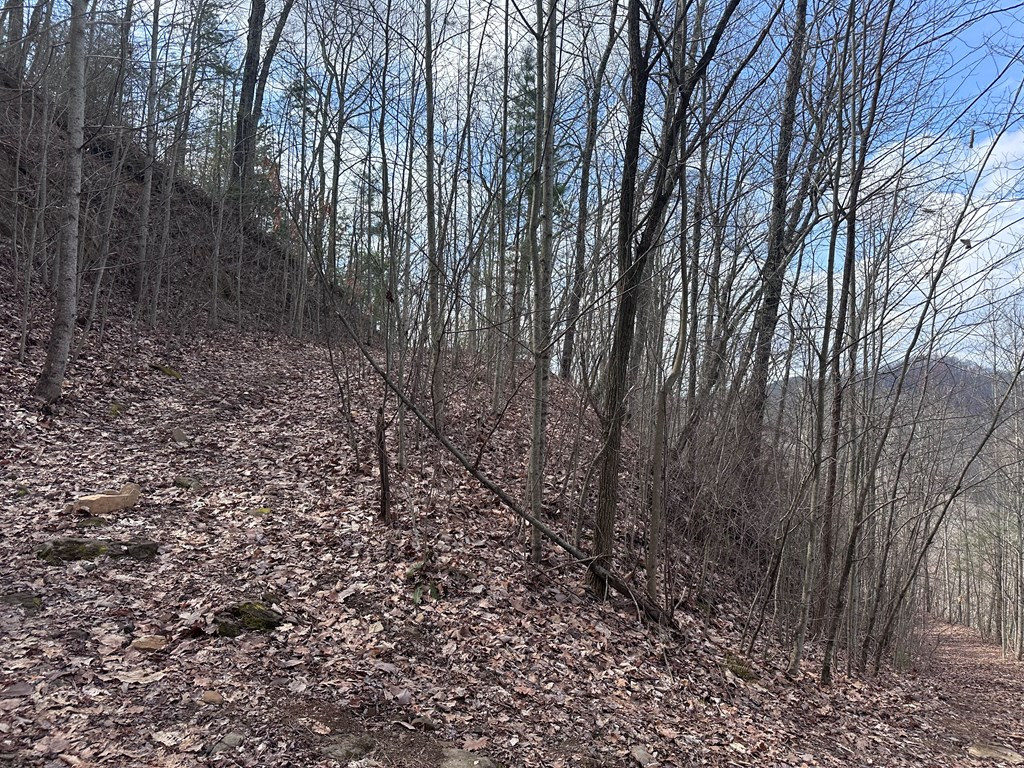 Tbd Pack Mountain Road Property Photo 36