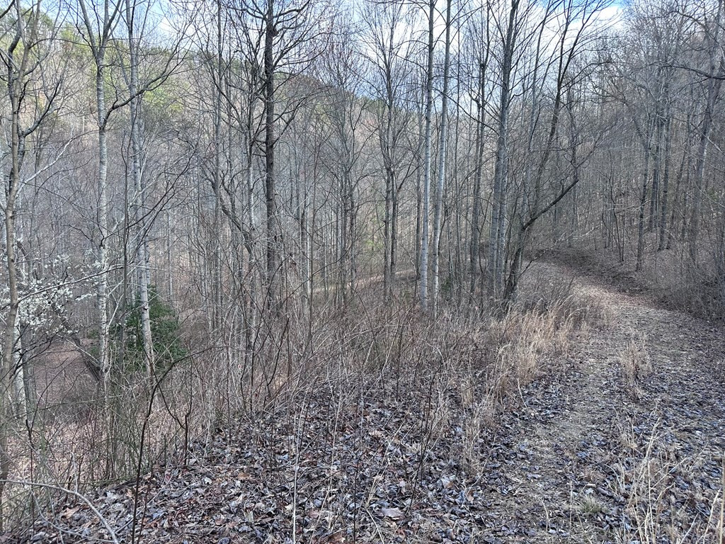 Tbd Pack Mountain Road Property Photo 37