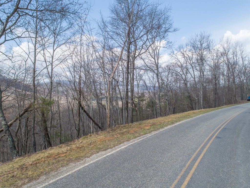 Tbd Pack Mountain Road Property Photo 38
