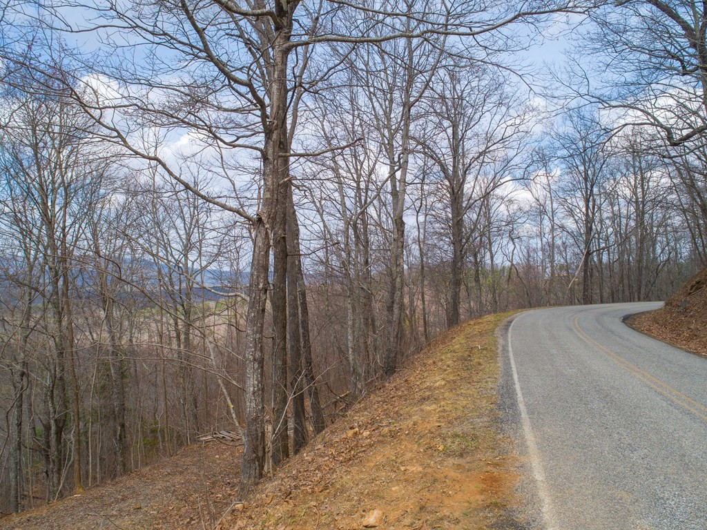 Tbd Pack Mountain Road Property Photo 39