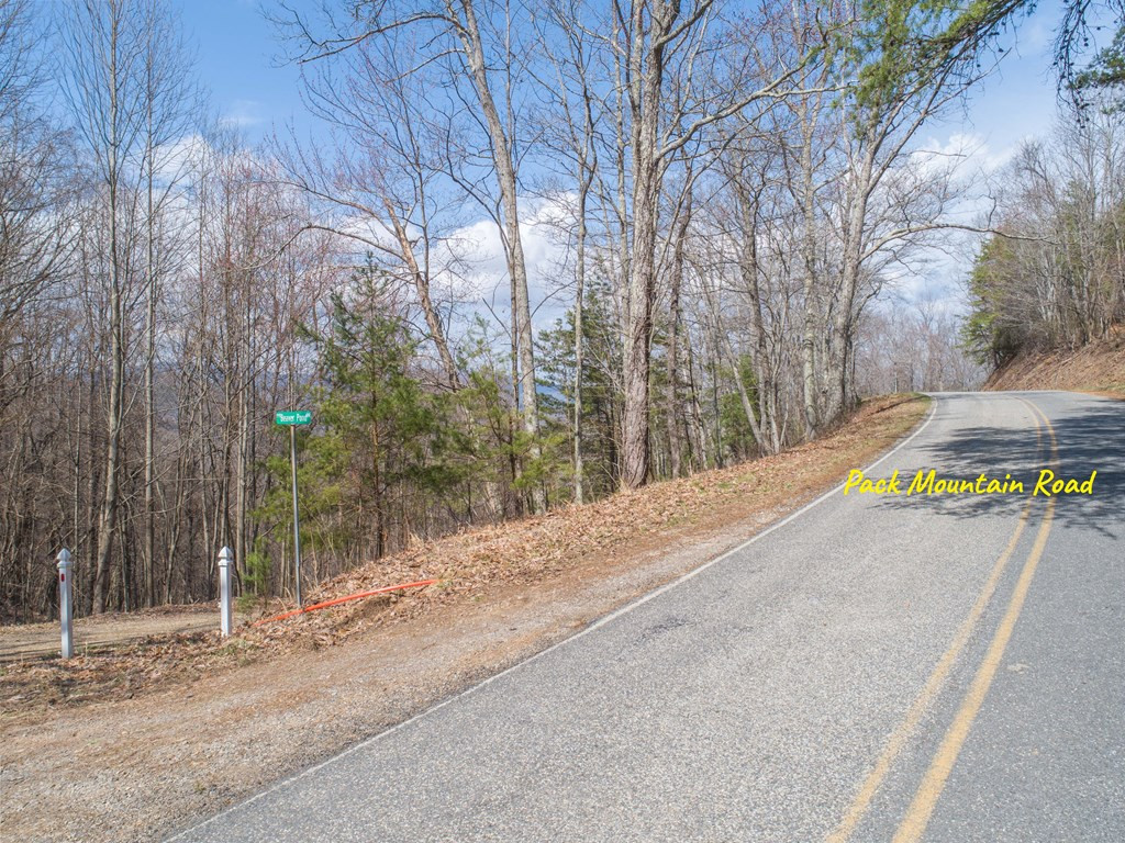 Tbd Pack Mountain Road Property Photo 40