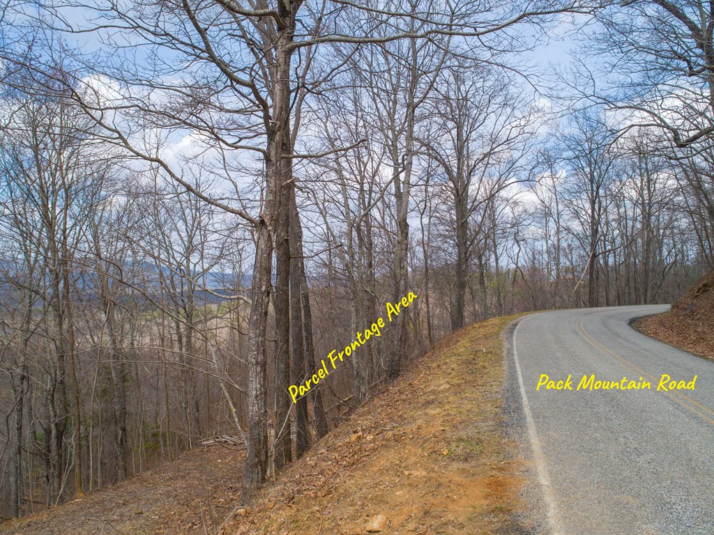 Tbd Pack Mountain Road Property Photo 41