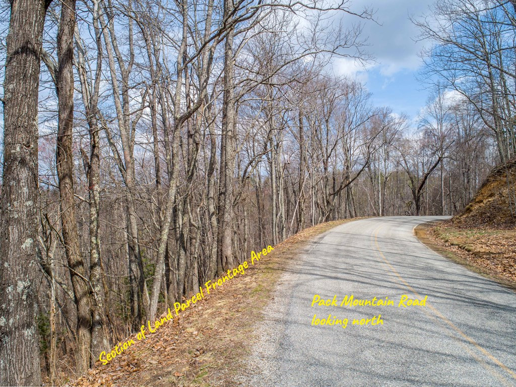Tbd Pack Mountain Road Property Photo 42