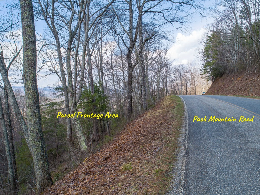 Tbd Pack Mountain Road Property Photo 43