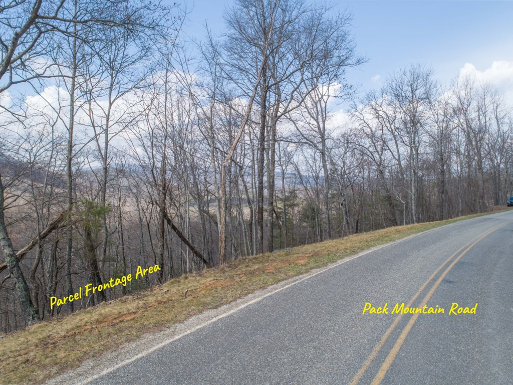 Tbd Pack Mountain Road Property Photo 44