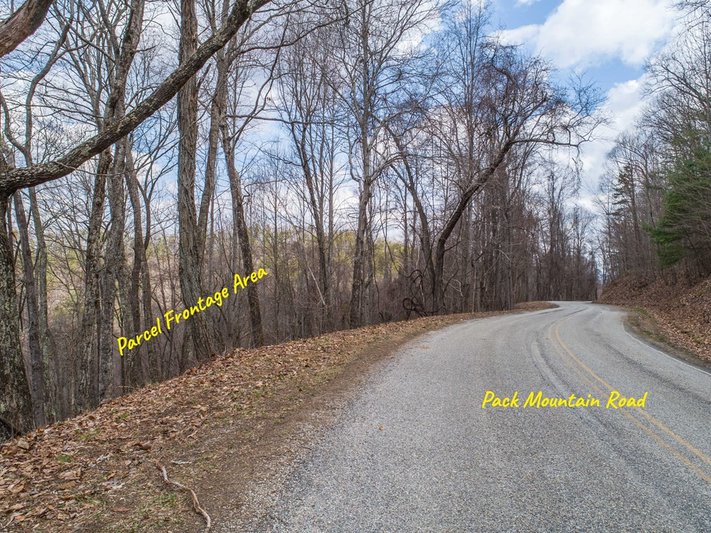 Tbd Pack Mountain Road Property Photo 45