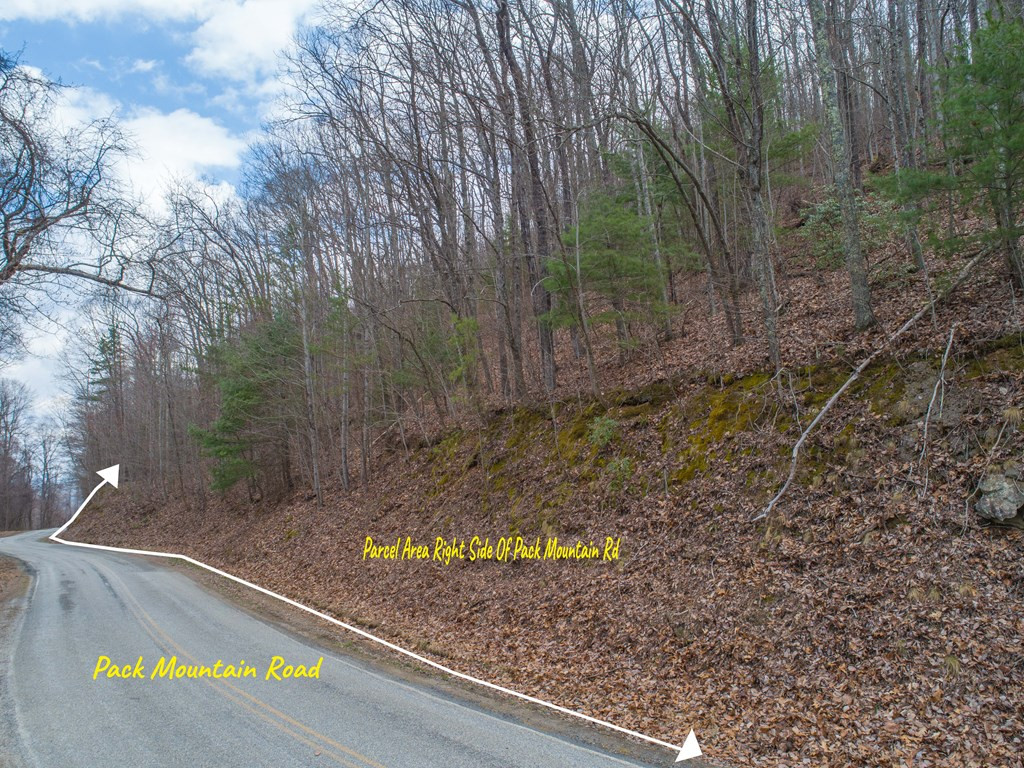 Tbd Pack Mountain Road Property Photo 46