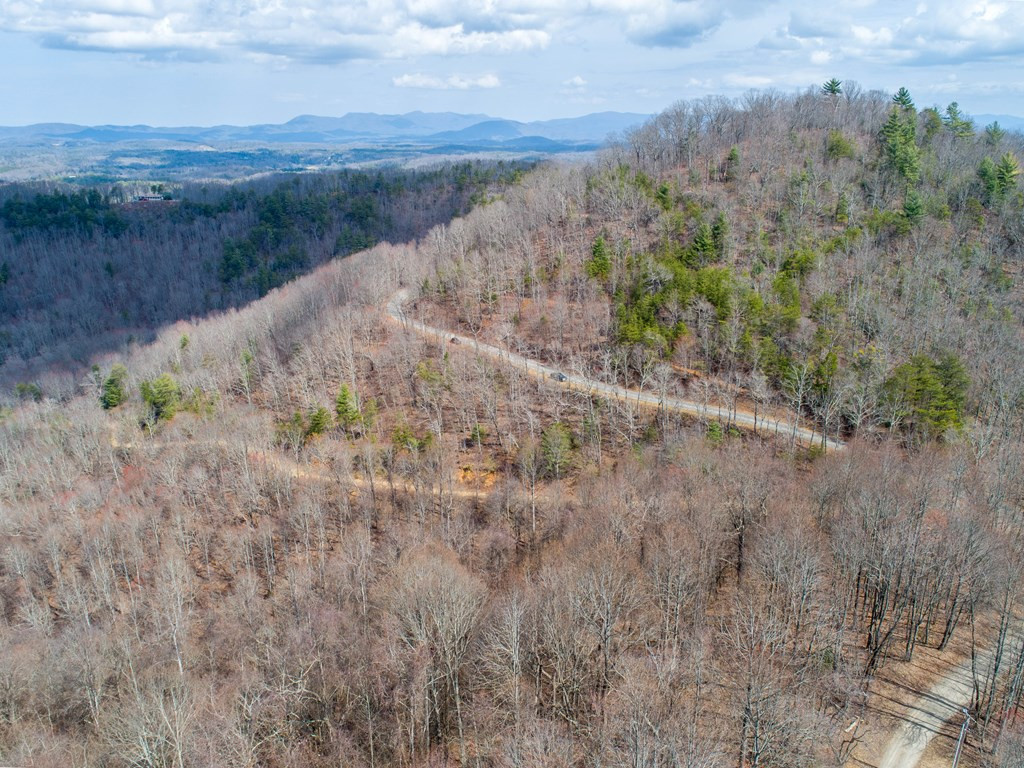 Tbd Pack Mountain Road Property Photo 51